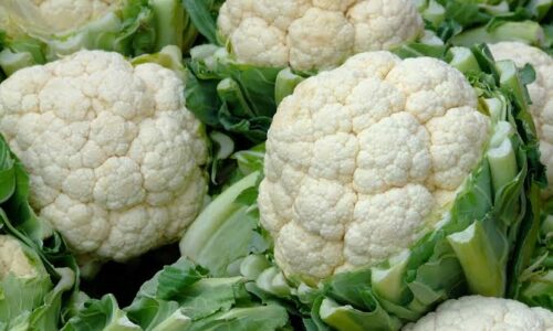 cauliflower